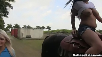 Public Sex Session With College Chicks And Their Classmate